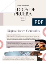 Medios de Prueba