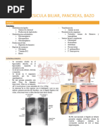 Clase 1 Higado Bazo Pancreas