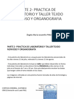 2023-2 Parte 2 - Prã - Ctica de Laboratorio y Taller Tejido Nervioso y Organografia