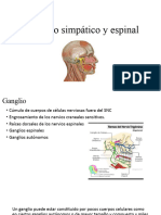 Ganglio Simpático y Espinal