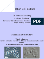 2-Mammalian Cell Culture