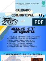 Exudado Conjuntival