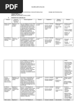 Iv Planificación Anual 2022