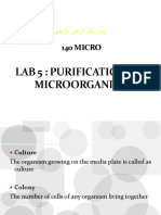 Microbiology 5