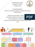 Diagrama Promocion A La Salud en Adultos