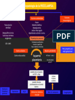 Fisiopatología de La Preeclampsia