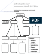 Trabajo Práctico Anelidos, Equinodermos y Moluscos