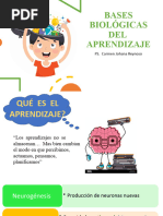 Bases Biológicas Del Aprendizaje1