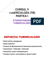 Curs 5 - TUBERCULOZA (TB1)