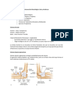 Lectura Previa Codo