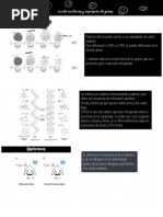 Clase 4 Acidos Nucleicos