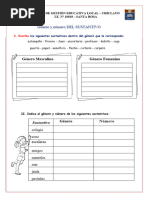 Practica de Genero y Numero