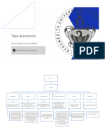 Tipos de Proyectos