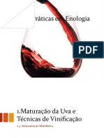 1.3. Fermentação Malolática