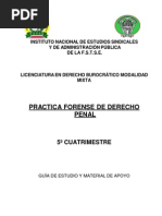 Practica Forense de Derecho Penal