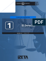 TEMA 1 - El Derecho PN