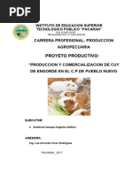 PDF Documento