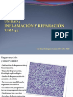 Inflamación y Reparacion 