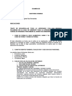 Examen de Fisioterapia Anatomia Humana I