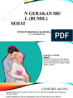 Gerakan Bumil Sehat