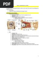 Tema 4. Fisiología de La Visión