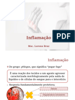 Aula11 Inflamação