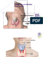 Cáncer de Tiroides Clase