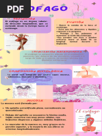 Infografía Guía Pasos para Mejorar La Autoestima Doodle Pastel Verde y Rosa