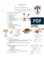 Anatomía y Fisiología Renal