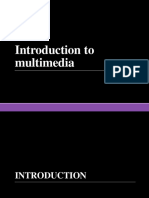 Introduction To Multimedia