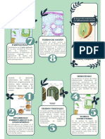 Folleto de Biologia