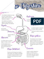 Proceso Digestivo