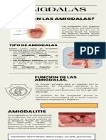 AMIGDALAS