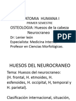 Huesos Del Neurocraneo