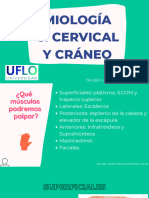 Miología Columna Cervical