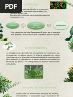 Heterosidos o Glucocidos