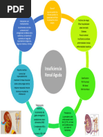 Insuficiencia Renal