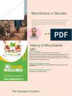 Microfinance in Somalia