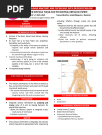 Lesson 2 - The Nervous Tissue and The Central Nervous System