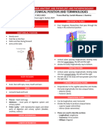 Lesson 2 Anatomical Position and Terminologies