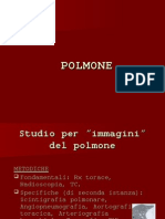 Polmone 06-07