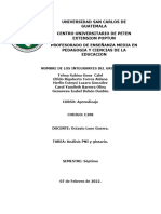 PNI Aprendizaje Por Descubrimiento, Carol Barrera