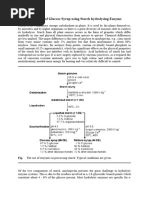 Starch Hydrolysis