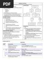 24° Testículo