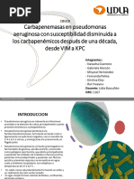 CAT4 - CBI319 - Formato Presentacion TS