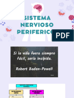 Sistema Nervioso Periferico