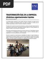 ME TRASFORMACIÓN ÁGIL en LA EMPRESA Dinámicas Organizacionales Líquidas