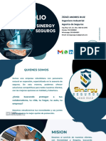 Portafolio Sinergy Seguros