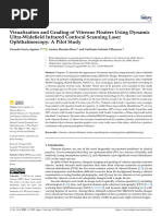 Visualization and Grading of Vitreous Floaters Using Dynamic Ultra-Widefield Infrared Confocal Scanning Laser Ophthalmoscopy A Pilot Study