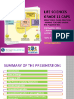 Pp19 Cellular Respiration